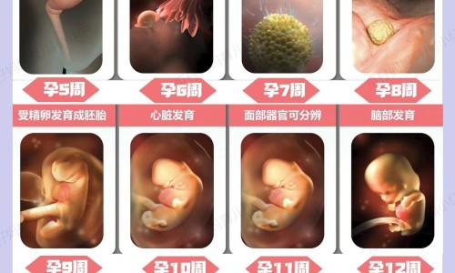 献血没满六个月还能献吗-献血没满六个月网 | 献血没满六个月怎么办,献血没满六个月能献吗